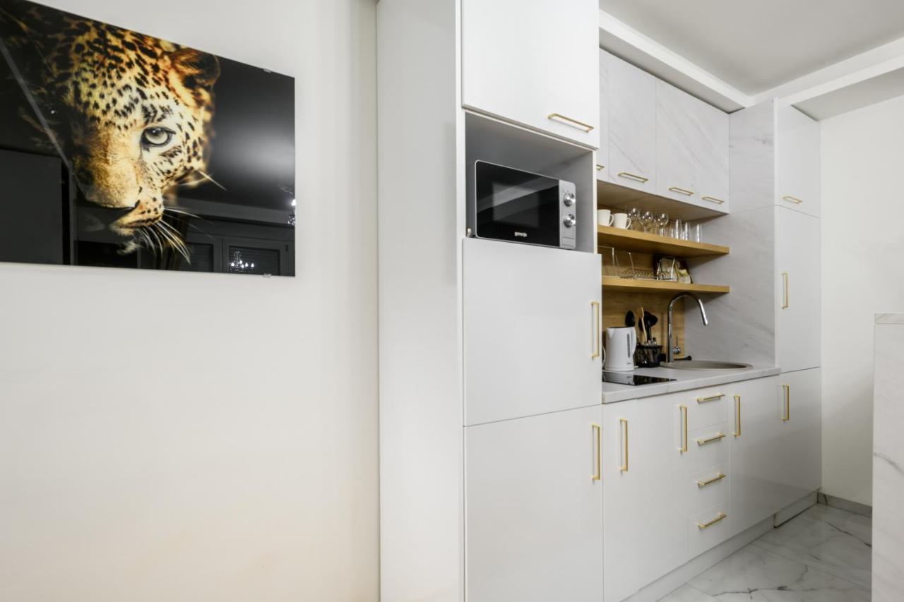 Jednosobni Apartman Ted - One Bedroomed Apartment Ted Sajmiste Exterior foto
